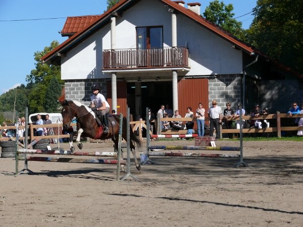 Babie Lato z Hucułami 2015
